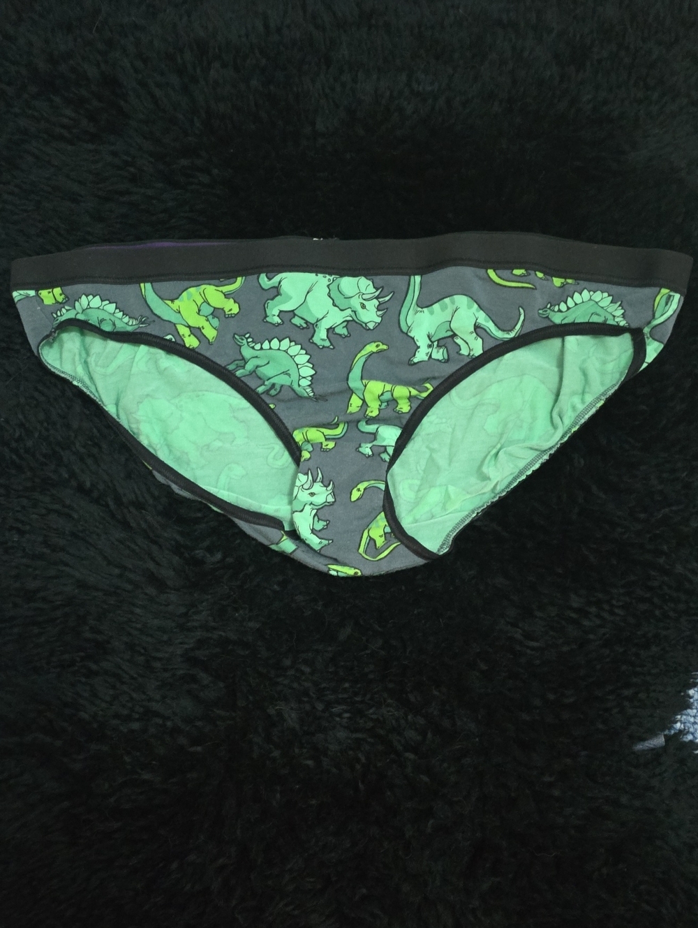 MeUndies Green Dinosaur Bikini Briefs